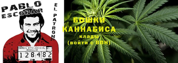 spice Осинники