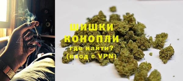 spice Осинники