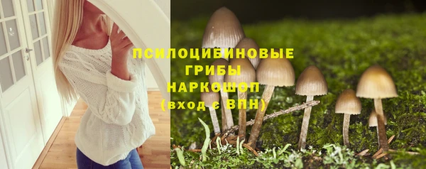 spice Осинники