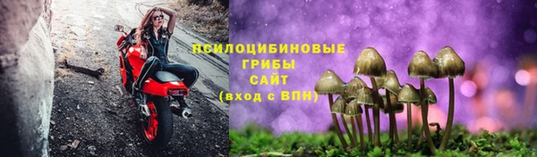 spice Осинники