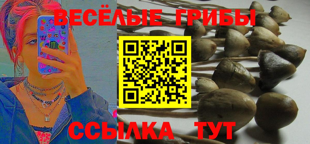 Псилоцибиновые грибы MAGIC MUSHROOMS Биробиджан