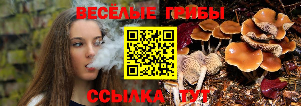 Биробиджан  Галлюциногенные грибы ЛСД  Псилоцибиновые грибы ЛСД  Вход с VPN 