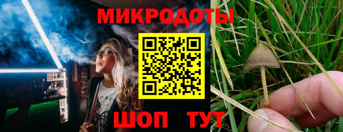 Галлюциногенные грибы мицелий Биробиджан